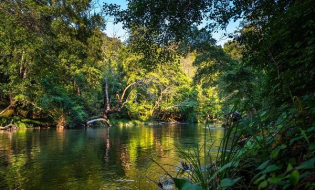 Tropical Rainforest Retreats, Recommended Heaven for Nature Lovers